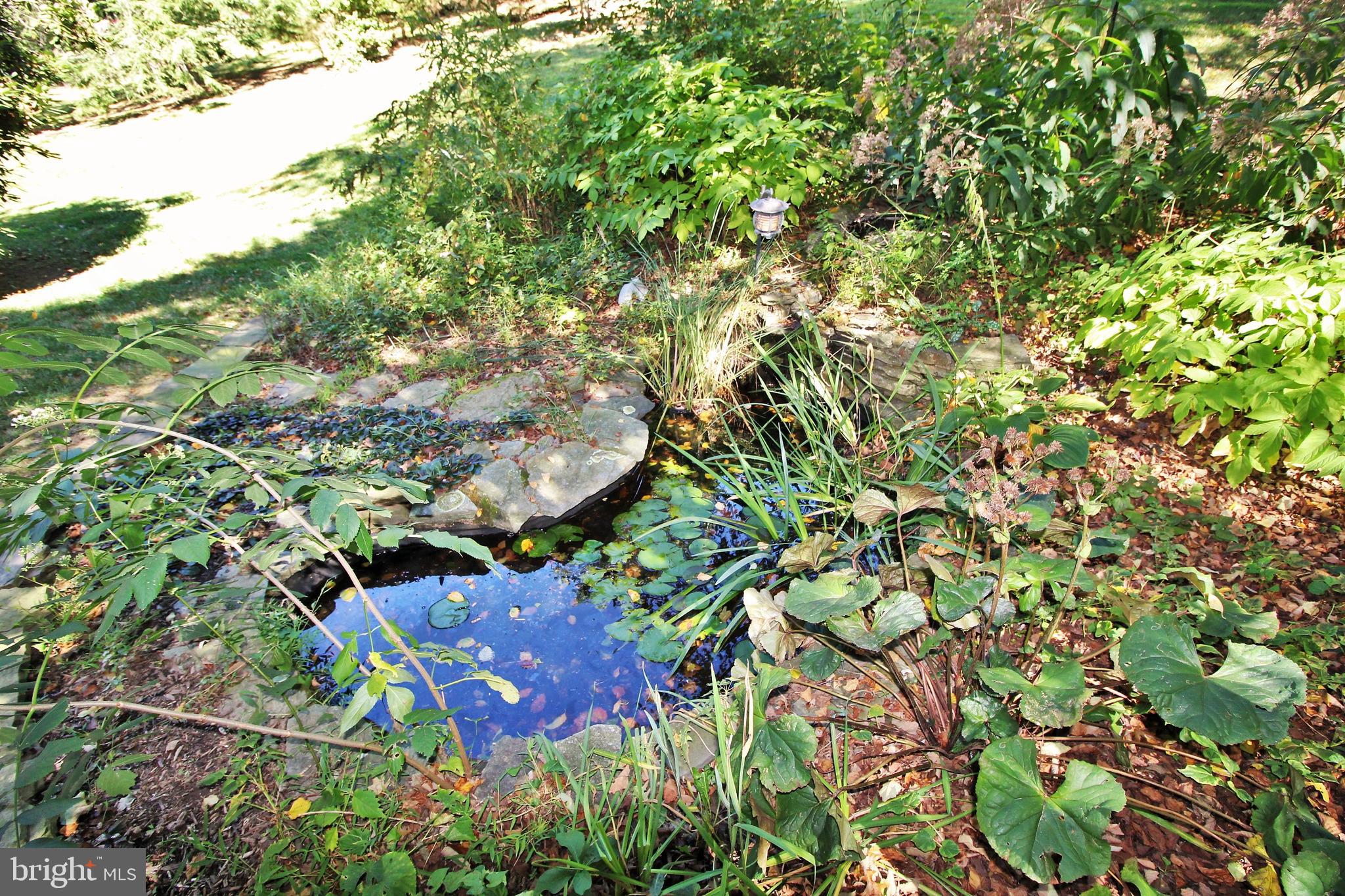 7404 Round Hill Road Frederick, MD 21702 - Photo 4 of 50 Lovely water feature
