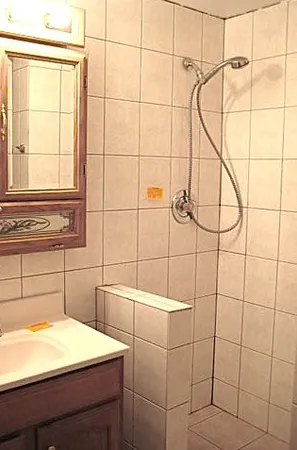 a bathroom with a sink and a shower