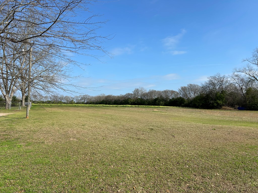 17.99-ac 17.99-ac Wicksburd Road Newton, AL 36352 - Photo 13 of 22