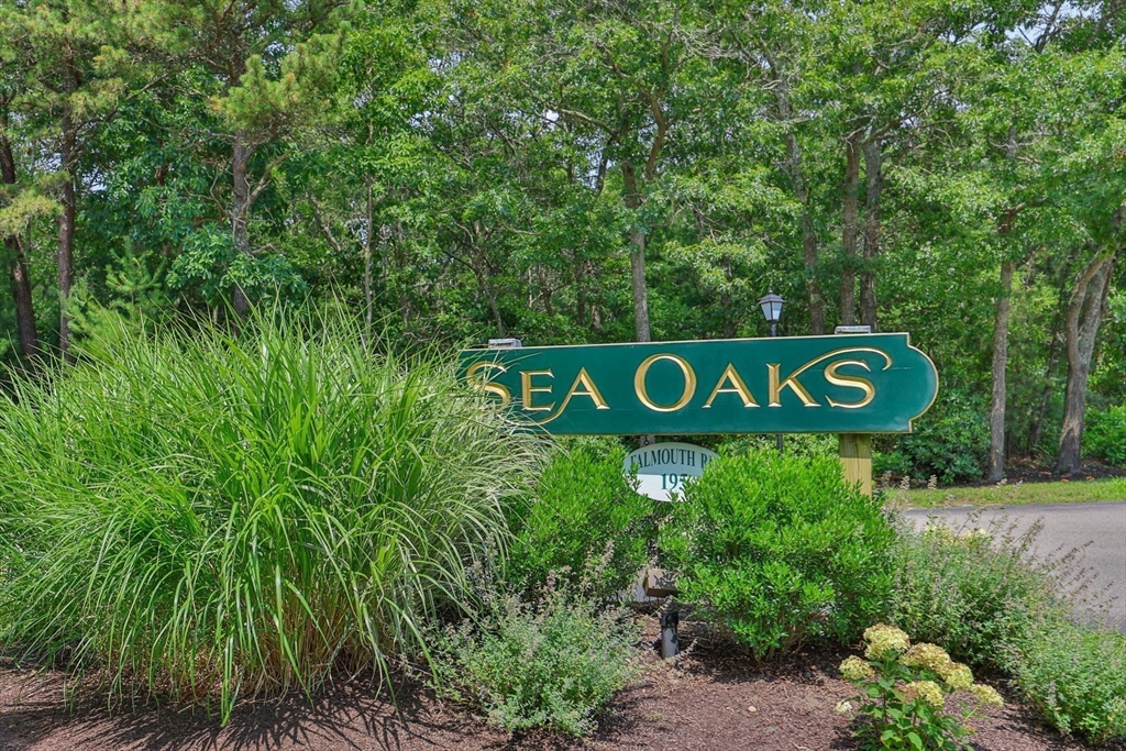 195 Falmouth Road Mashpee, MA 02649 - Photo 37 of 37