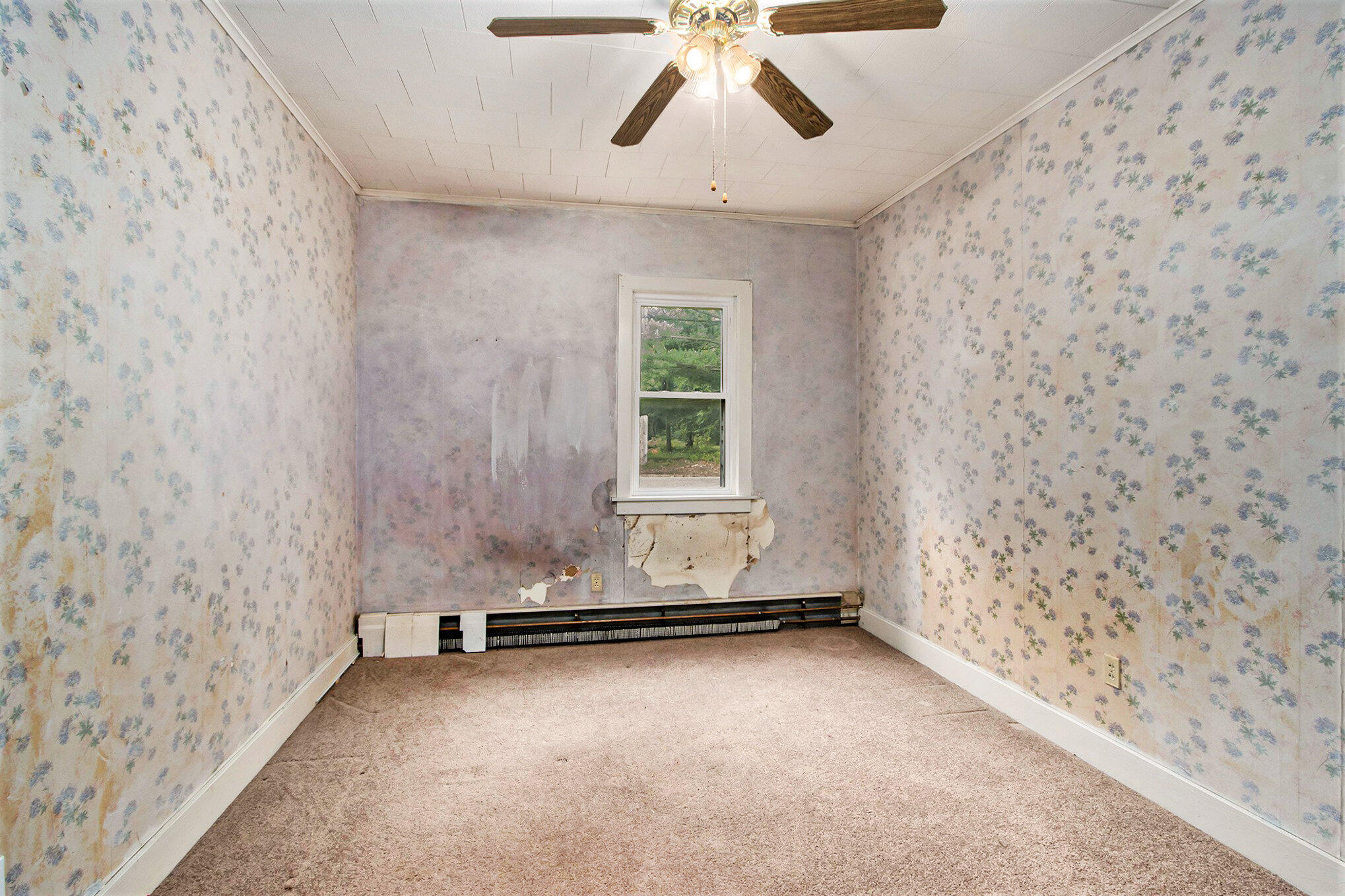 21044 1st Street Three Rivers, MI 49093 - Photo 13 of 16 012_21044first_7