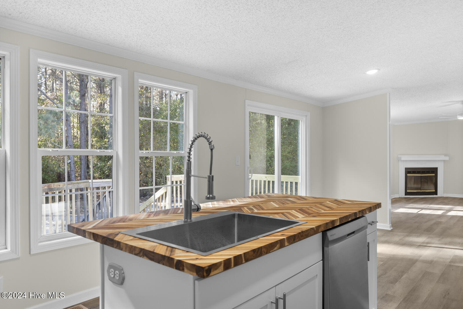 119 Manchester Lane Sneads Ferry, NC 28460 - Photo 9 of 27 1000056138