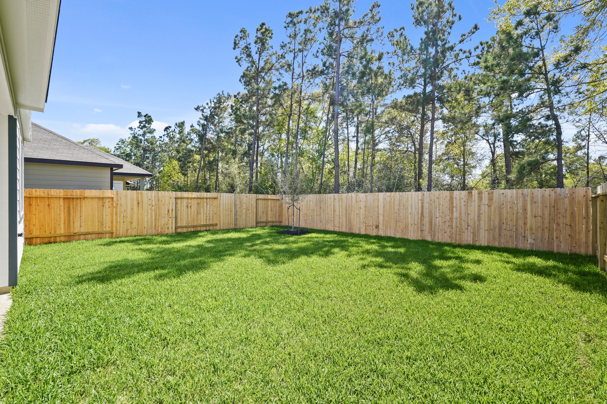 1102 Burkes Rdg Trail Conroe, TX 77301 - Photo 19 of 25