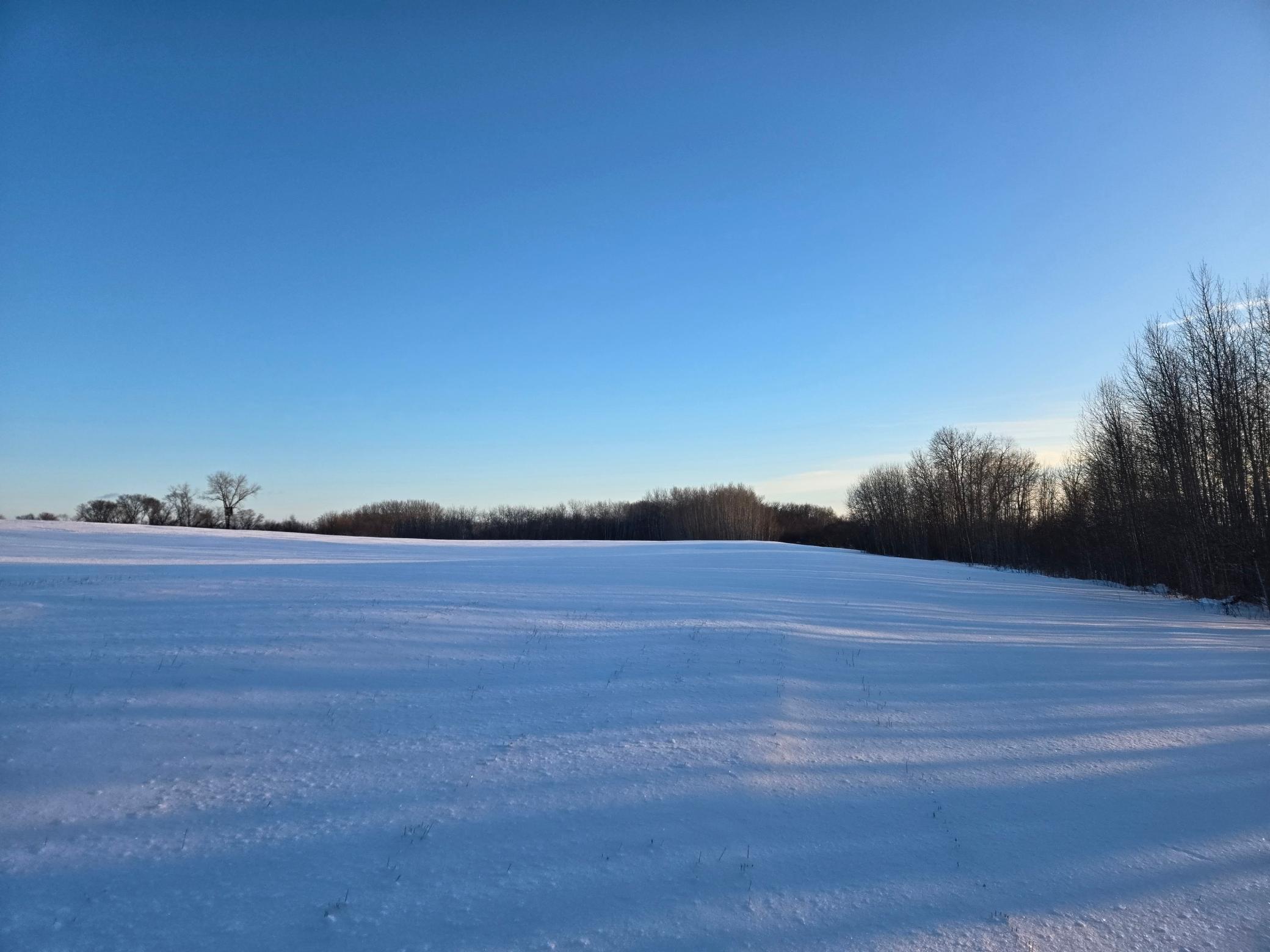 18987 North Hidden Acres Loop Pelican Rapids, MN 56572 - Photo 26 of 38
