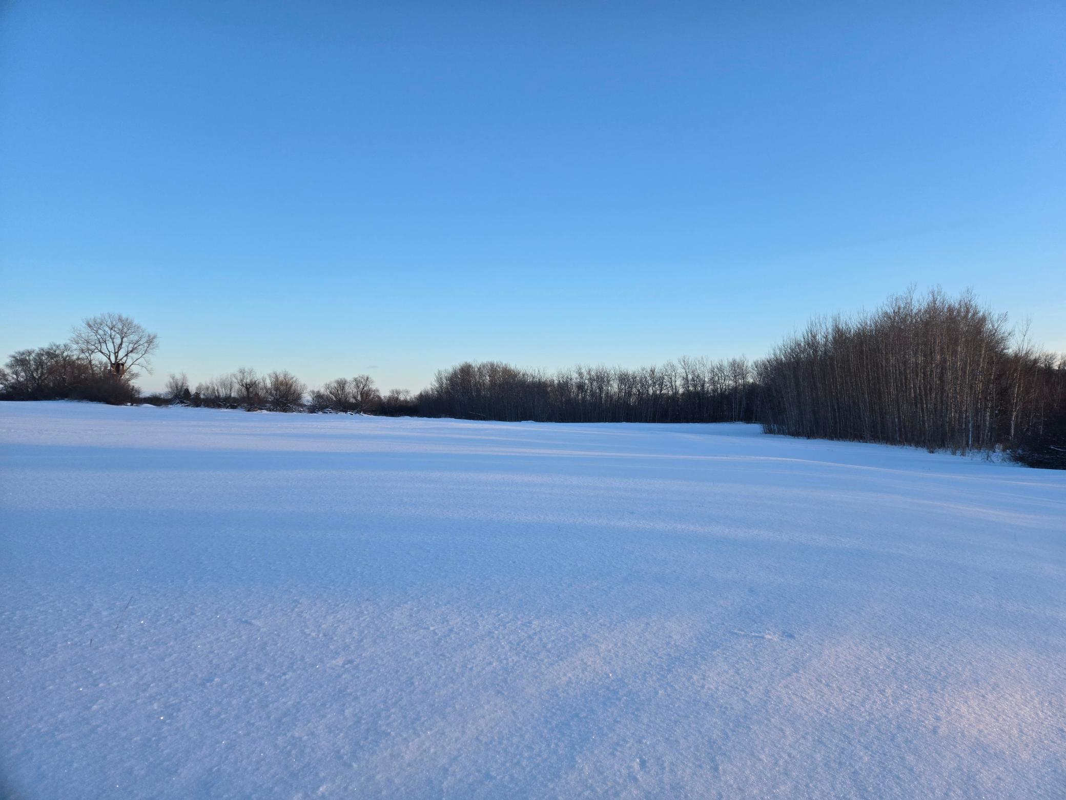 18987 North Hidden Acres Loop Pelican Rapids, MN 56572 - Photo 28 of 38