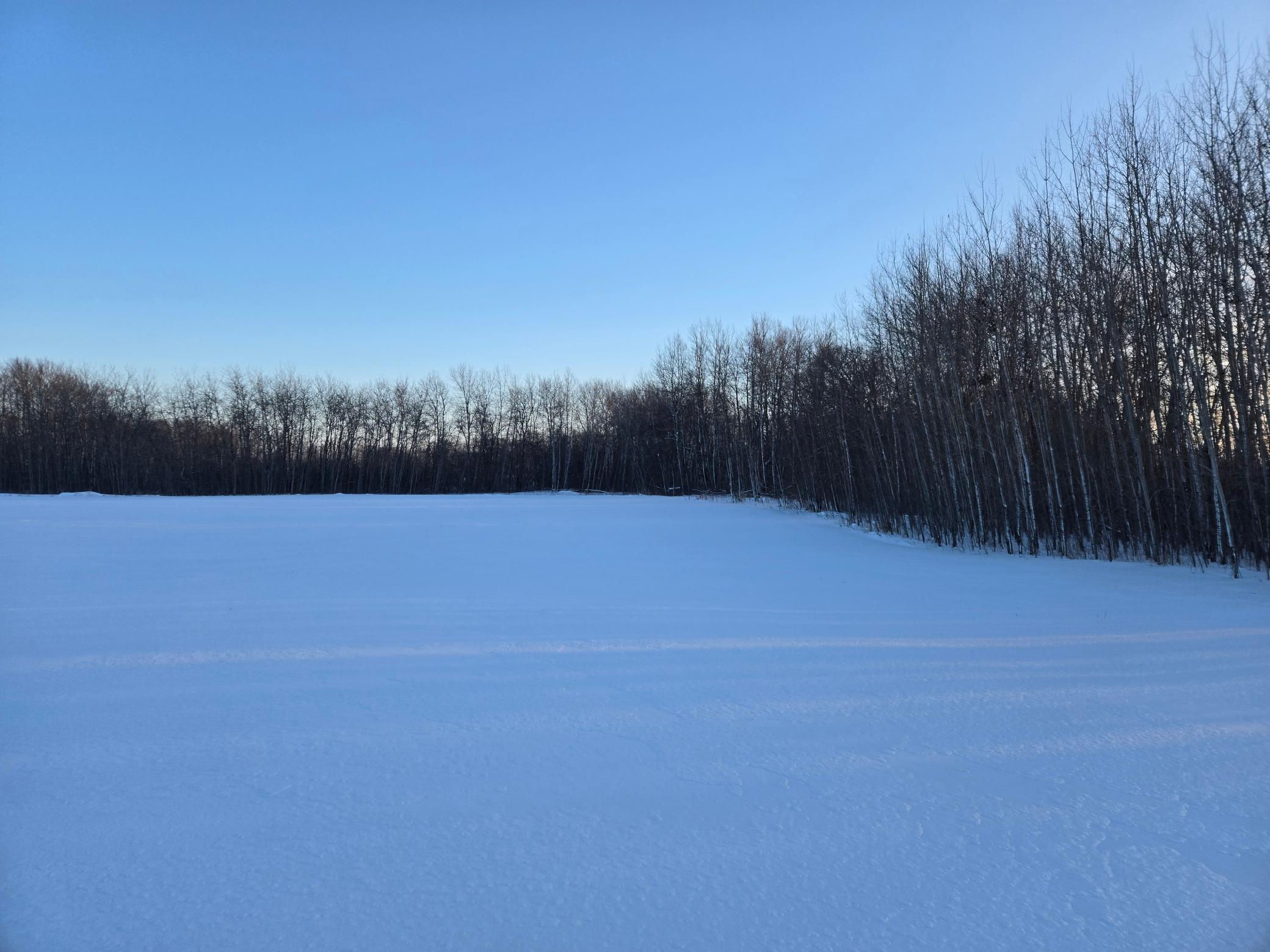 18987 North Hidden Acres Loop Pelican Rapids, MN 56572 - Photo 30 of 38