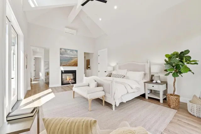 a living room with furniture a potted plant and a fireplace