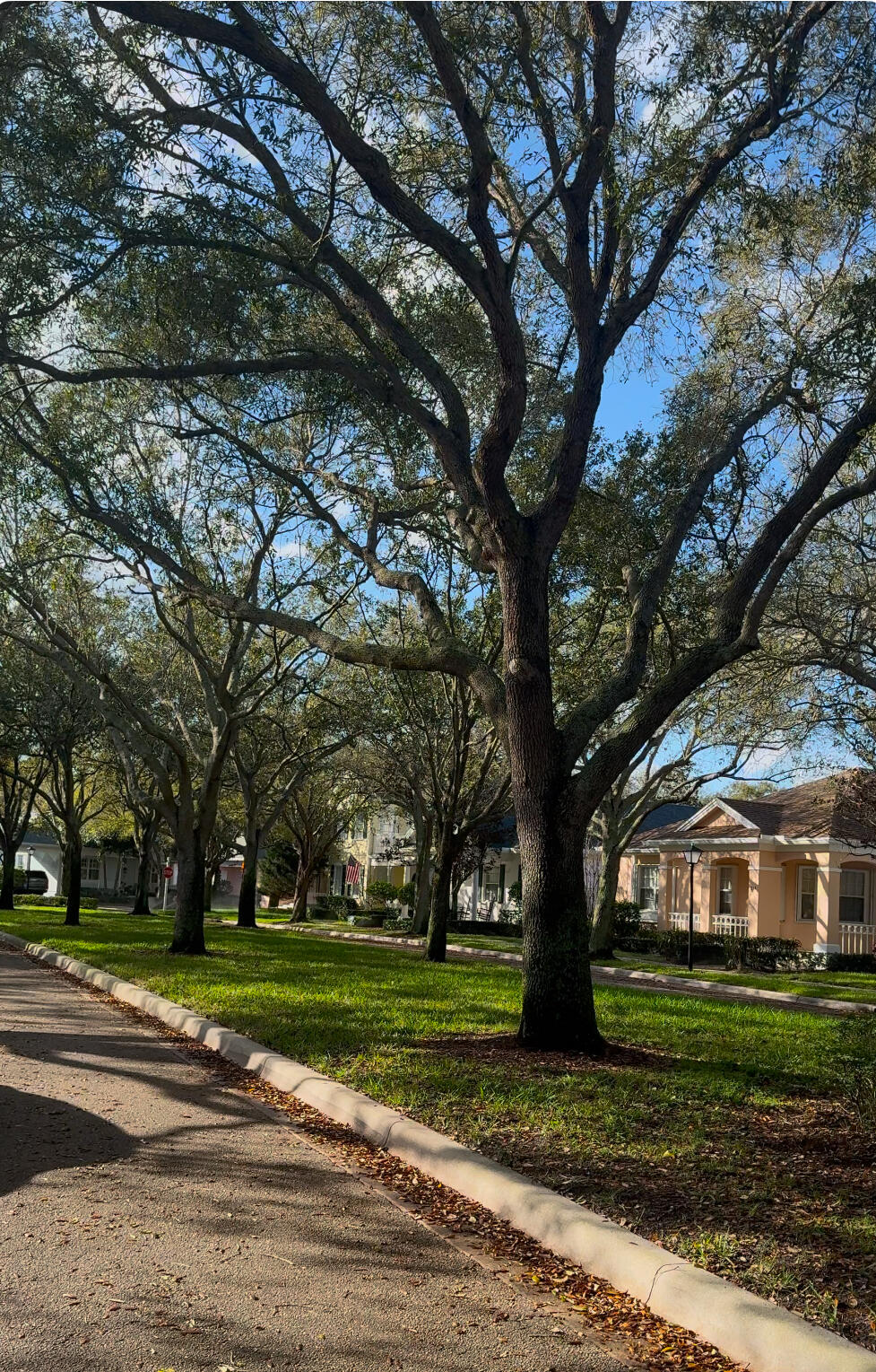 311 Bougainvillea Drive Jupiter, FL 33458 - Photo 44 of 58 IMG_5299