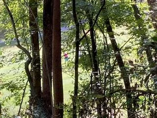 $65,000 | 739 Hiawassee Court, Ellijay, GA 30540