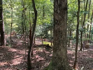 $65,000 | 739 Hiawassee Court, Ellijay, GA 30540