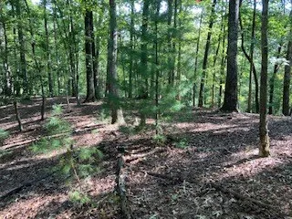 $65,000 | 739 Hiawassee Court, Ellijay, GA 30540