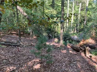 $65,000 | 739 Hiawassee Court, Ellijay, GA 30540