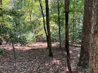 $65,000 | 739 Hiawassee Court, Ellijay, GA 30540