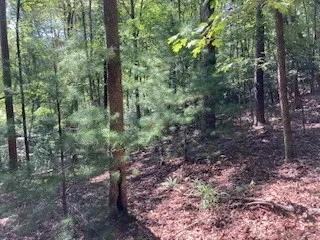 $65,000 | 739 Hiawassee Court, Ellijay, GA 30540