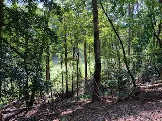 $65,000 | 739 Hiawassee Court, Ellijay, GA 30540