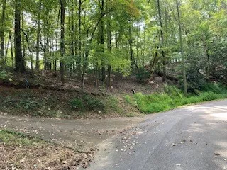 $65,000 | 739 Hiawassee Court, Ellijay, GA 30540