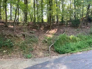 $65,000 | 739 Hiawassee Court, Ellijay, GA 30540