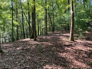 $65,000 | 739 Hiawassee Court, Ellijay, GA 30540