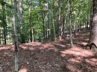 $65,000 | 739 Hiawassee Court, Ellijay, GA 30540