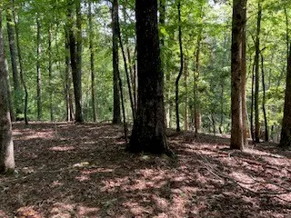 $65,000 | 739 Hiawassee Court, Ellijay, GA 30540