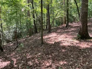 $65,000 | 739 Hiawassee Court, Ellijay, GA 30540