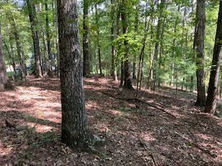 $65,000 | 739 Hiawassee Court, Ellijay, GA 30540