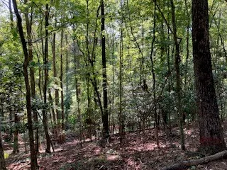 $65,000 | 739 Hiawassee Court, Ellijay, GA 30540