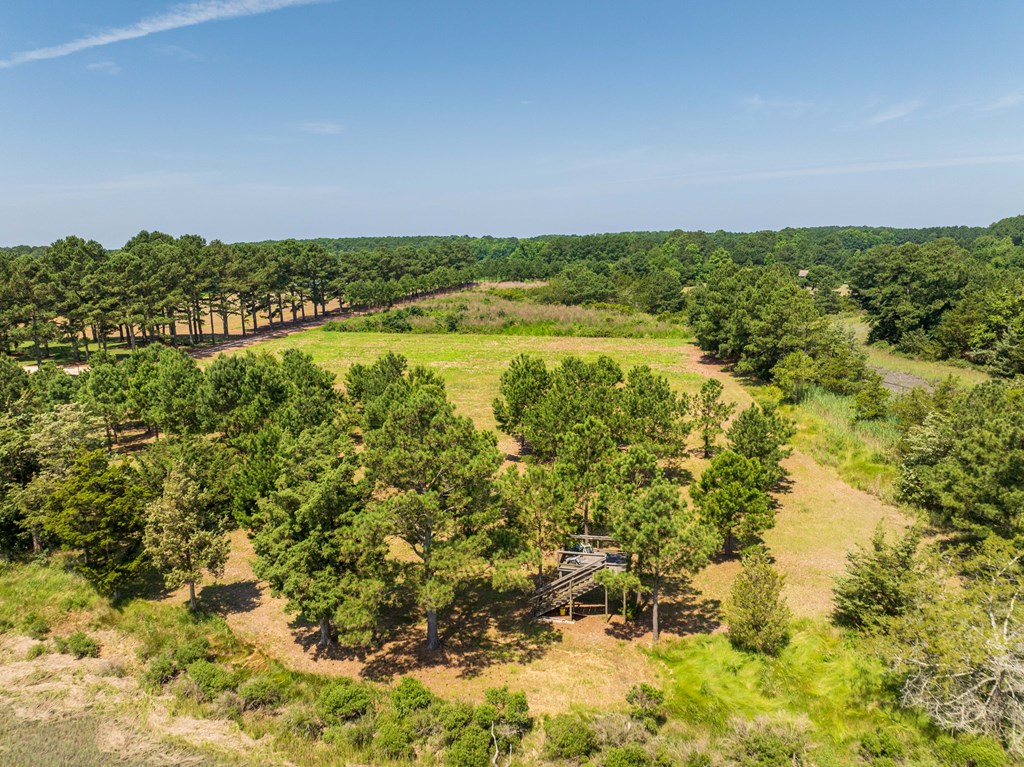 0 Bunting Point Road Melfa, VA 23410 - Photo 14 of 17