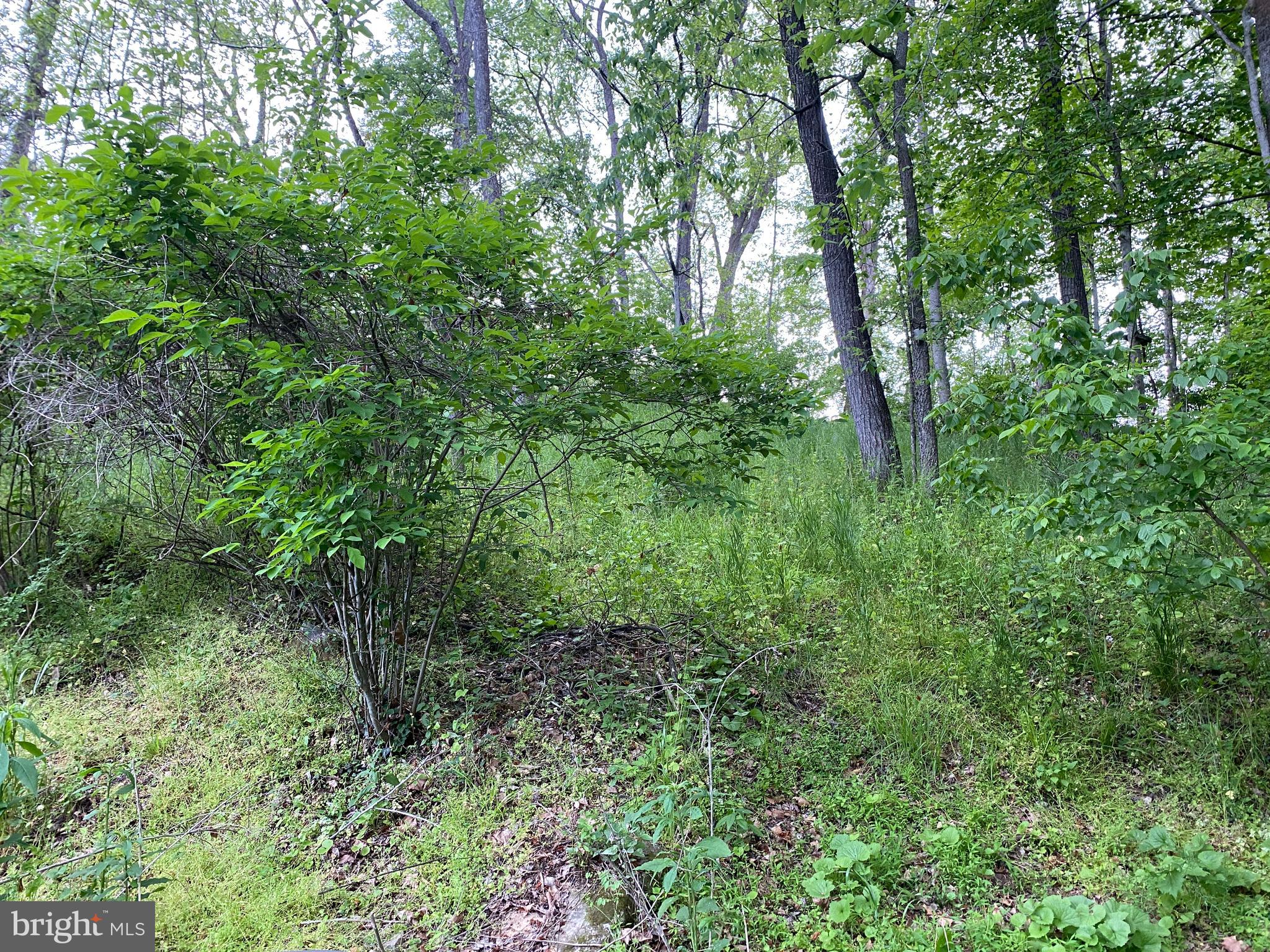 17416 Millers Sawmill Road Sharpsburg, MD 21782 - Photo 16 of 24 View out back