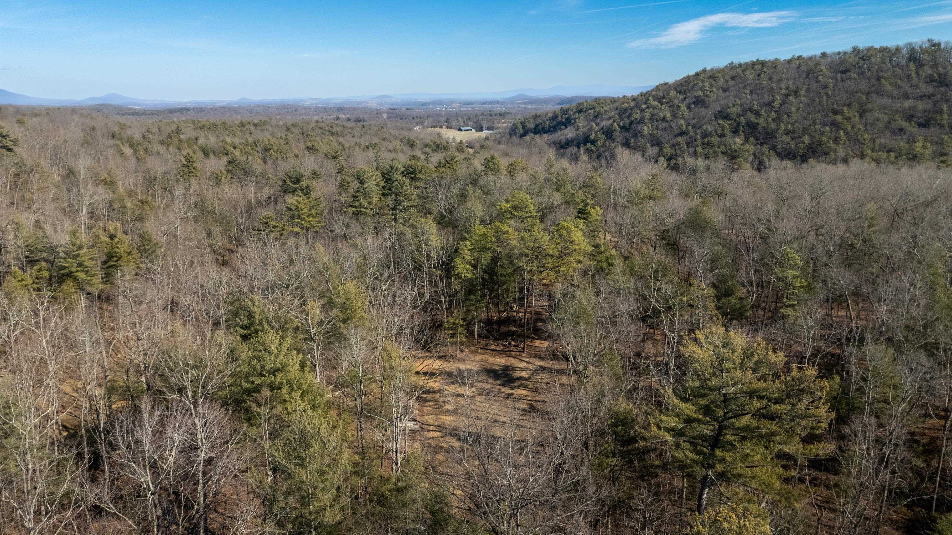 24.97-ac Stribling Springs Road Mount Solon, VA 22843 - Photo 19 of 34 a view of a forest with a mountain in the background