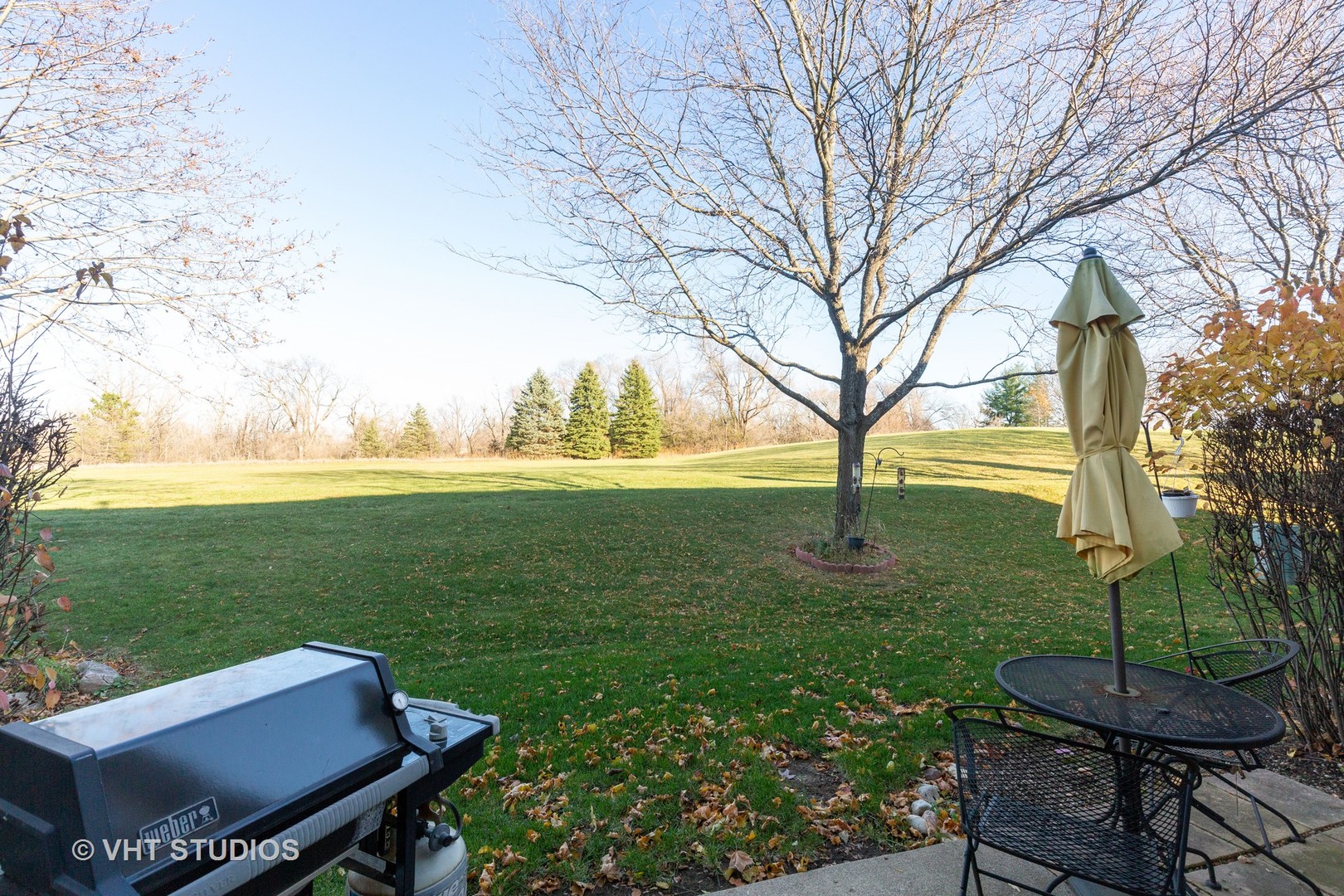1064 Horizon Ridge Lake In The Hills, IL 60156 - Photo 12 of 13