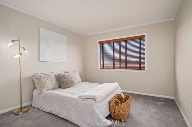 239 Via Socorro San Clemente, CA 92672 - Photo 36 of 49