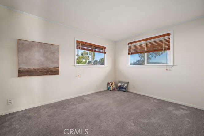 239 Via Socorro San Clemente, CA 92672 - Photo 38 of 49