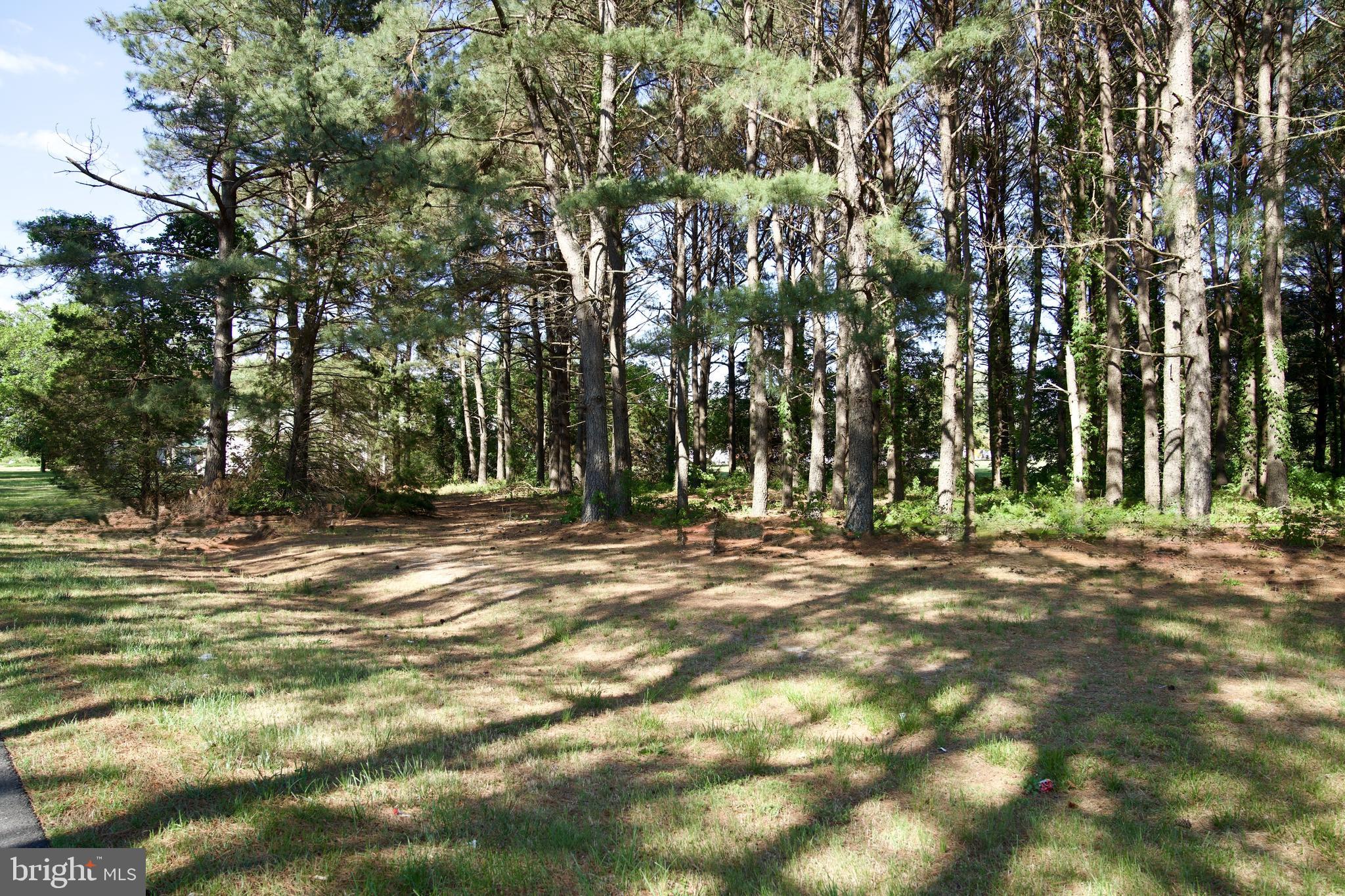 31867 Shavox Road Salisbury, MD 21804 - Photo 38 of 64