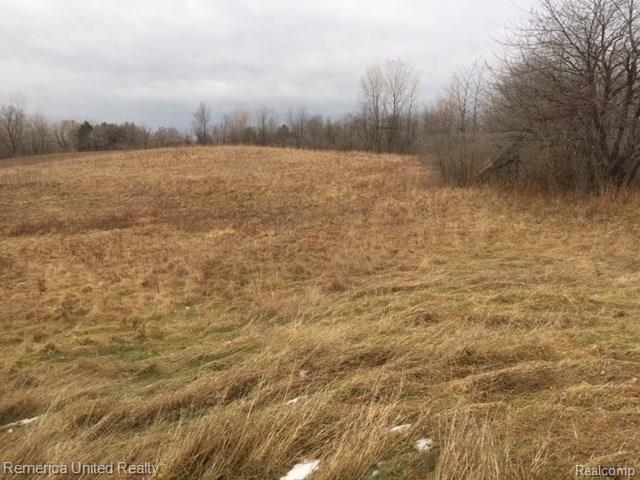 22711 Napier Road Northville, MI 48167 - Photo 1 of 5