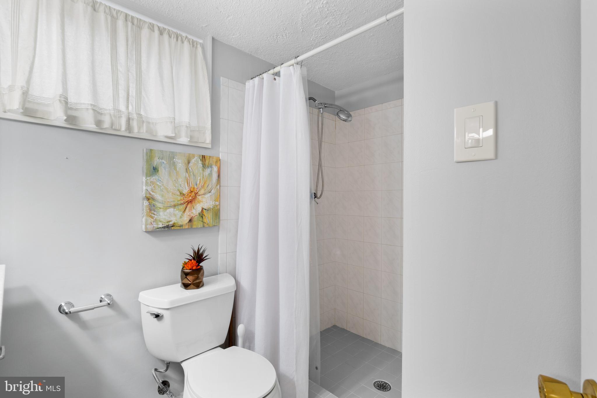 3001 2nd Road North Arlington, VA 22201 - Photo 30 of 36 Full bathroom downstairs