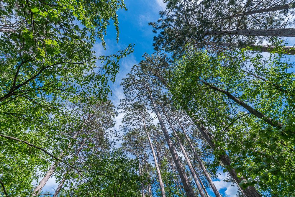 Tbd Lower Cullen Road Nisswa, MN 56468 - Photo 15 of 17