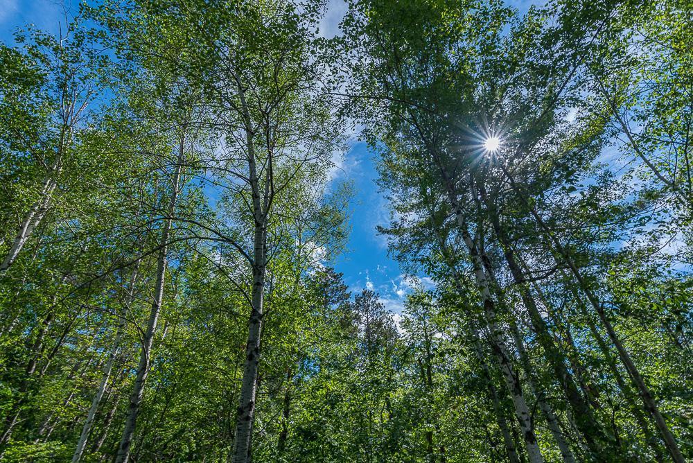 Tbd Lower Cullen Road Nisswa, MN 56468 - Photo 7 of 17