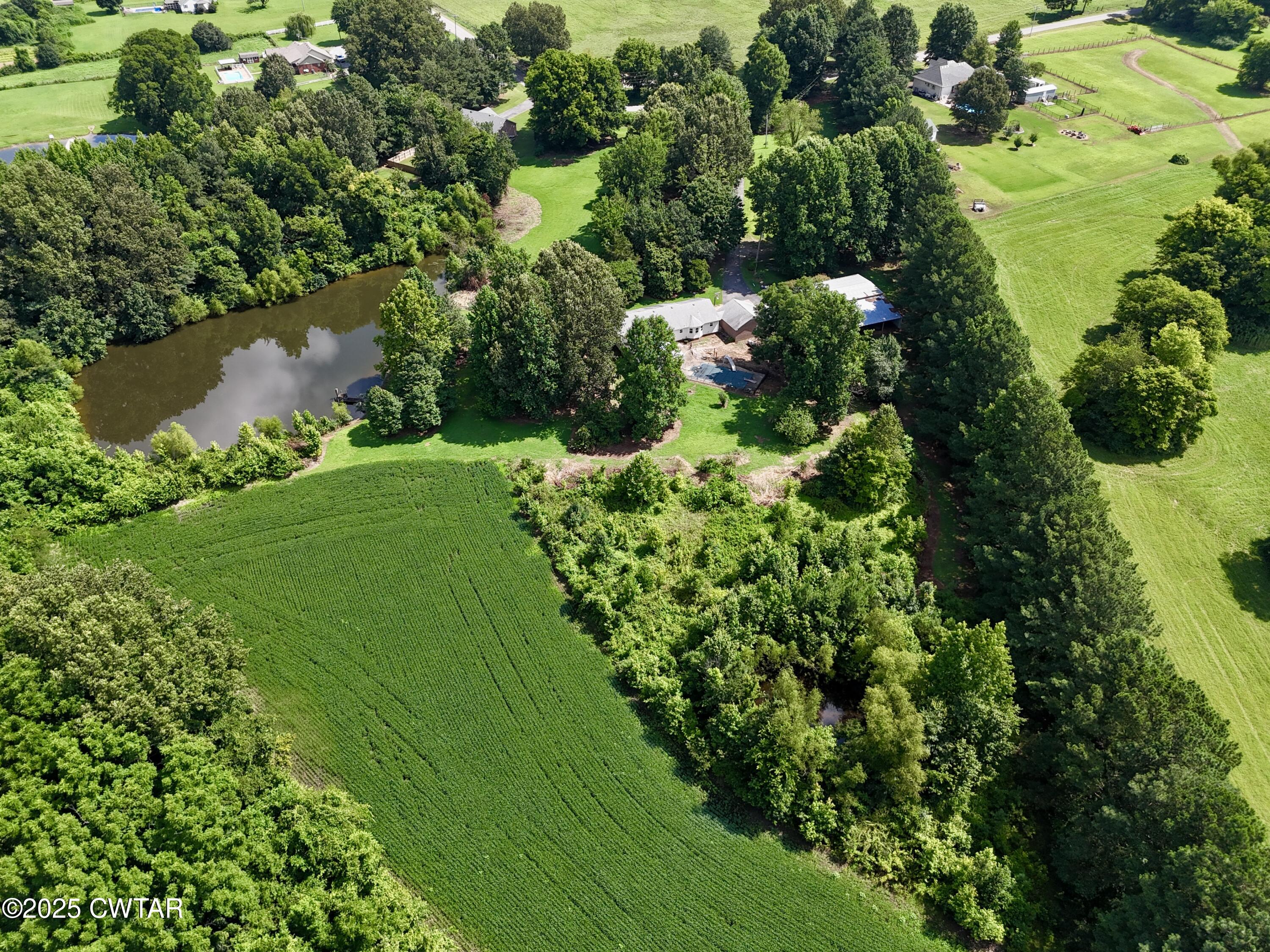 1921 Forrester Road Newbern, TN 38059 - Photo 18 of 18 a green field with lots of green space