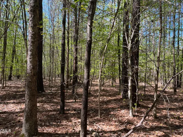 a view of outdoor space