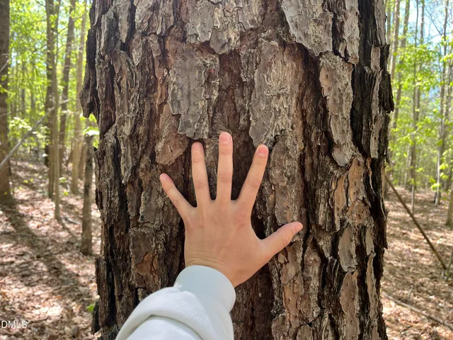 a view of outdoor space