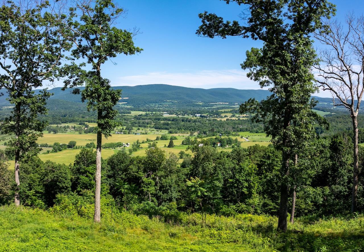 High Meadow Road Copake, NY 12516 - Photo 2 of 12 a view of a garden with a house