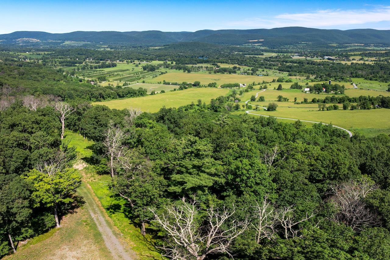 High Meadow Road Copake, NY 12516 - Photo 3 of 12 a view of a lush green hillside and houses