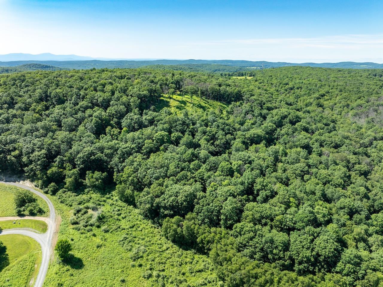 High Meadow Road Copake, NY 12516 - Photo 4 of 12 a view of a lush green field