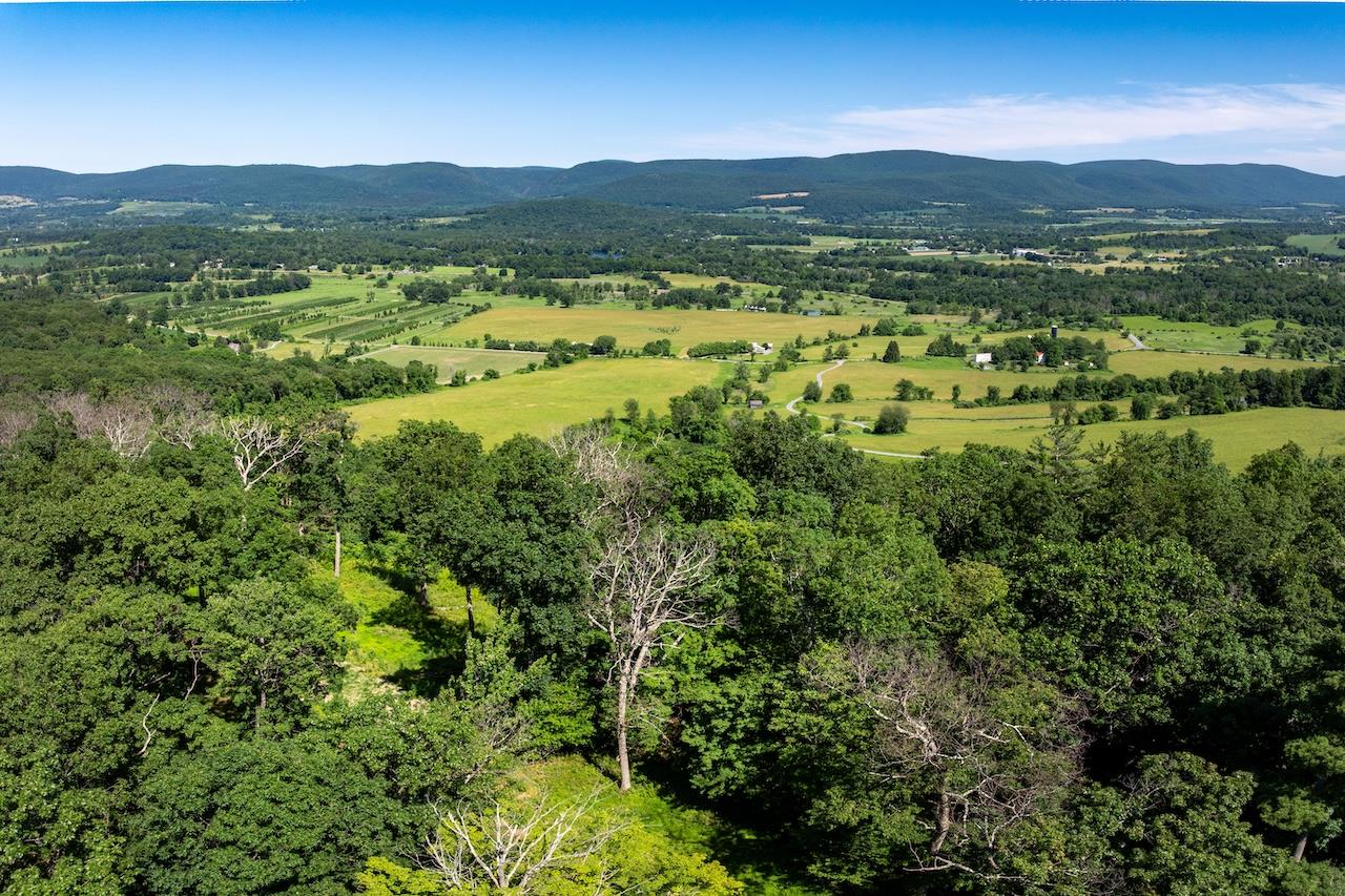 High Meadow Road Copake, NY 12516 - Photo 8 of 12 a view of a city with lush green forest