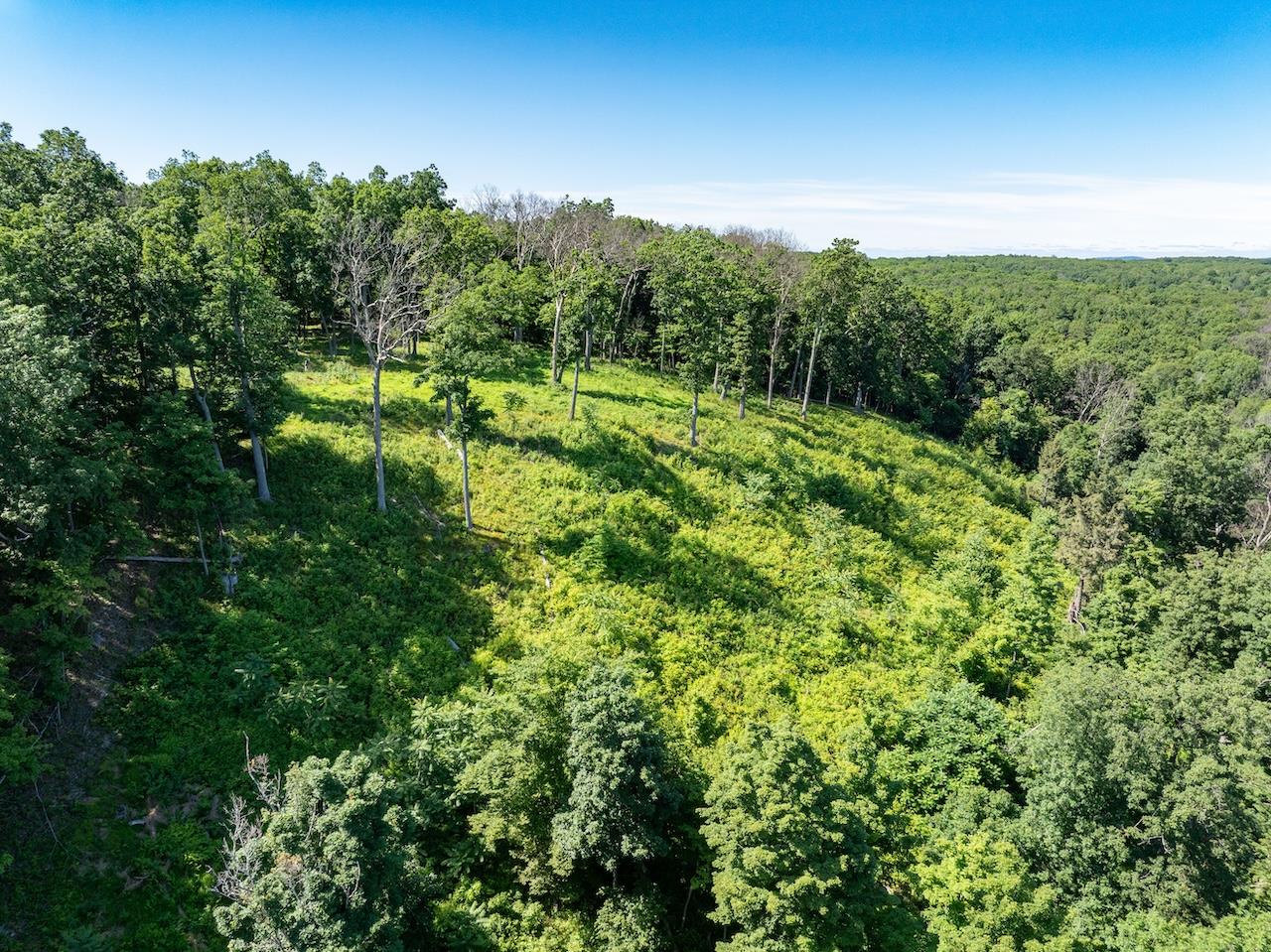 High Meadow Road Copake, NY 12516 - Photo 9 of 12 a view of a lush green outdoor space with a lake view