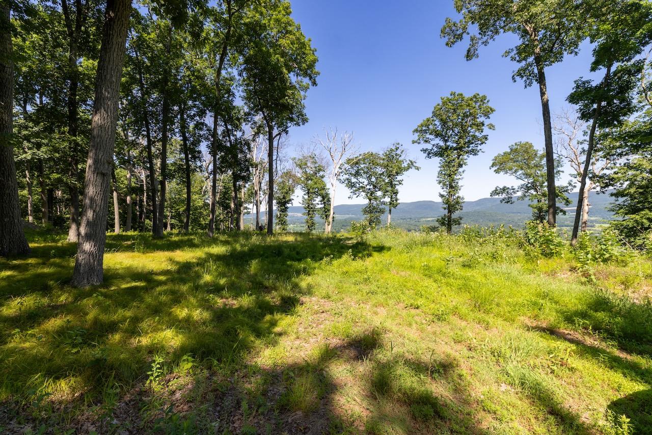High Meadow Road Copake, NY 12516 - Photo 10 of 12 a swimming pool with trees in the background