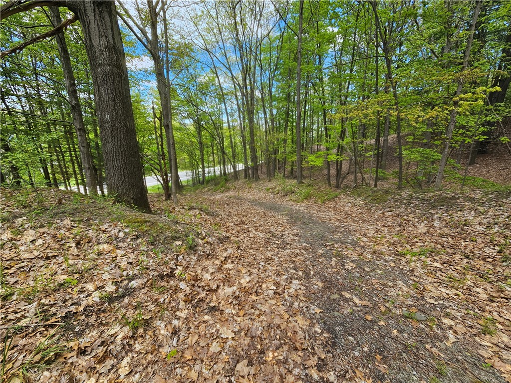 613 East Lake Road Penn Yan, NY 14527 - Photo 10 of 35