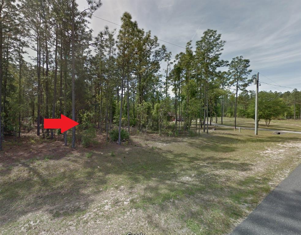 Southwest 61st Place Road Ocala, FL 34481 - Photo 1 of 1 a view of outdoor space with playground and green space