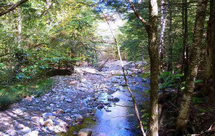 Wells Hill Road Lewis, NY 12950 - Photo 1 of 7 Photo 1
